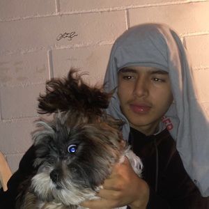 Meet your Posher, Benjamin